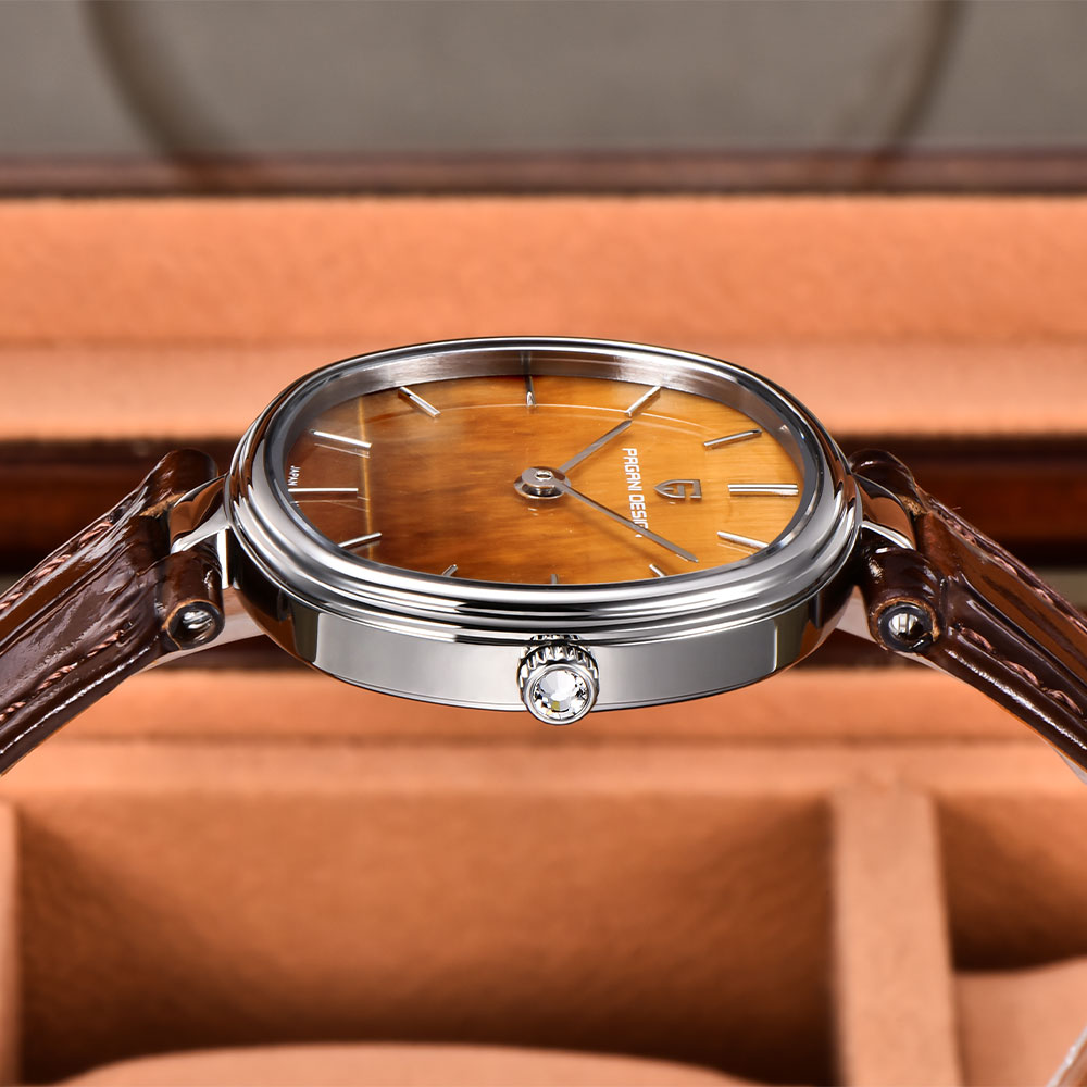 PAGANI DESIGN 2026 นาฬิกาควอทซ - Anti-Magnetic Watch บทวิจารณ์และราคา